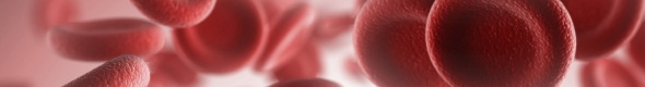 Red Blood cells