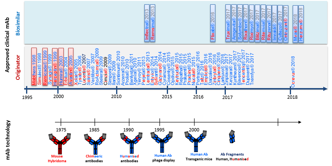 Monoclonal antibody products and advances in technology